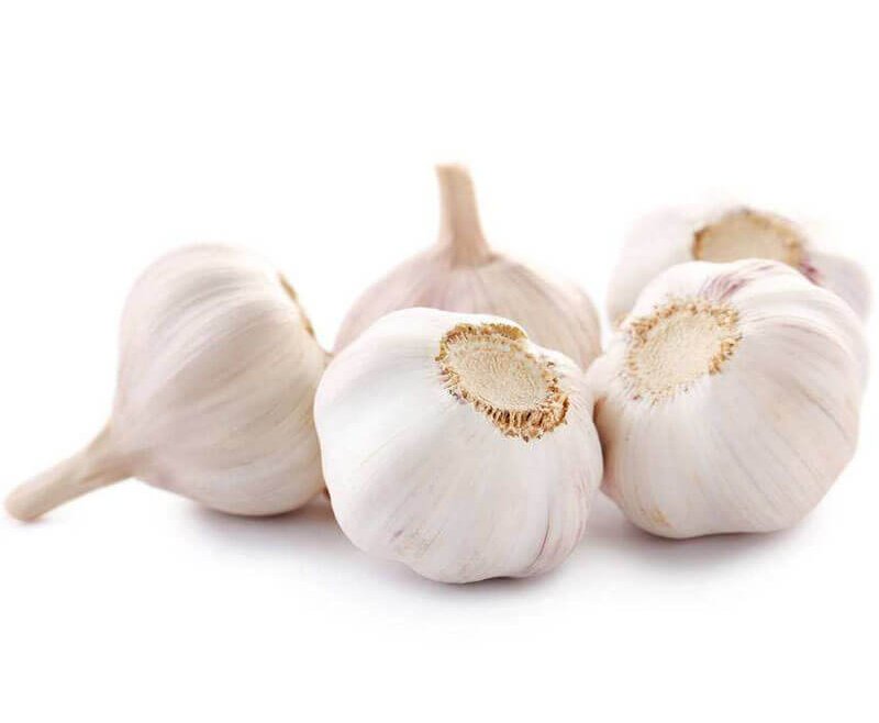 Garlic